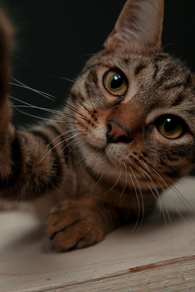 Emergency / urgent care